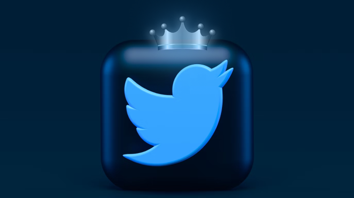 twitter logo with crown